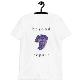 beyond t-shirts 12ants