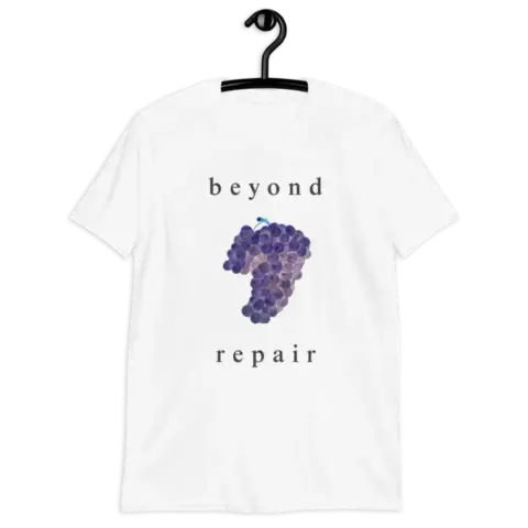 beyond t-shirts 12ants 2